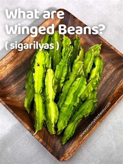 sigarilyas in english